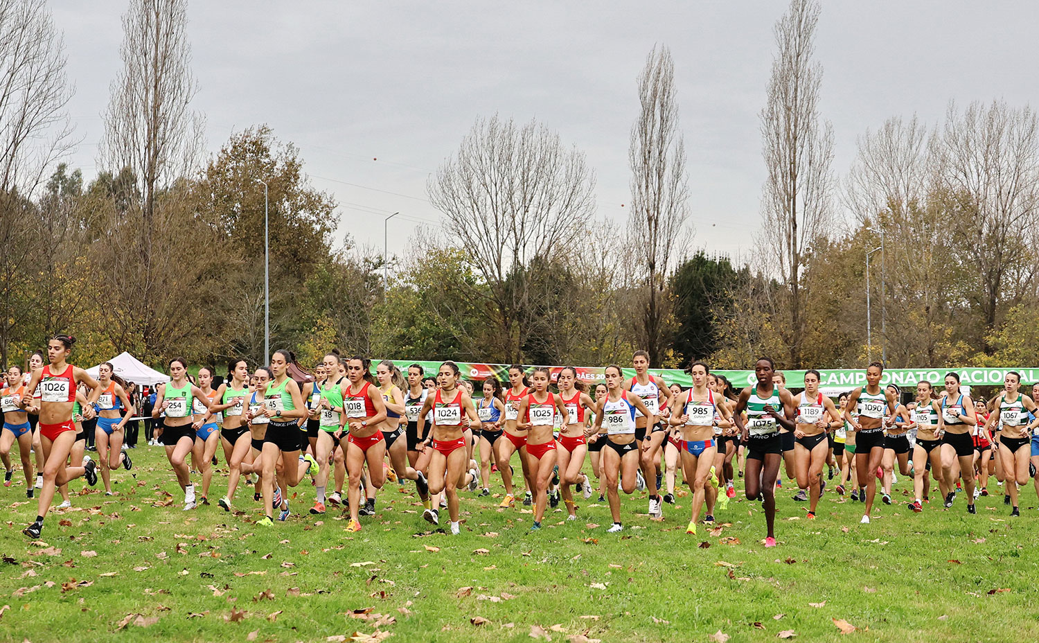 nacional_2024_marcelino_almeida